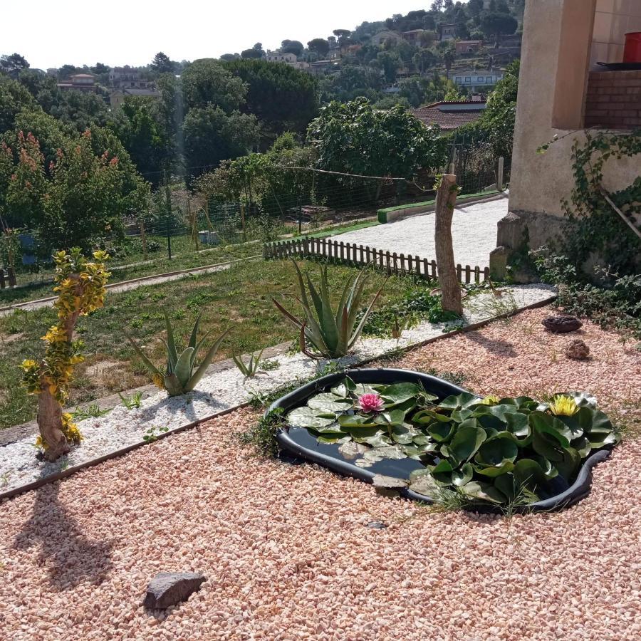 VILLA BLANCA 10 minutos de la Playa Costa brava Massanet De La Selva Exterior foto